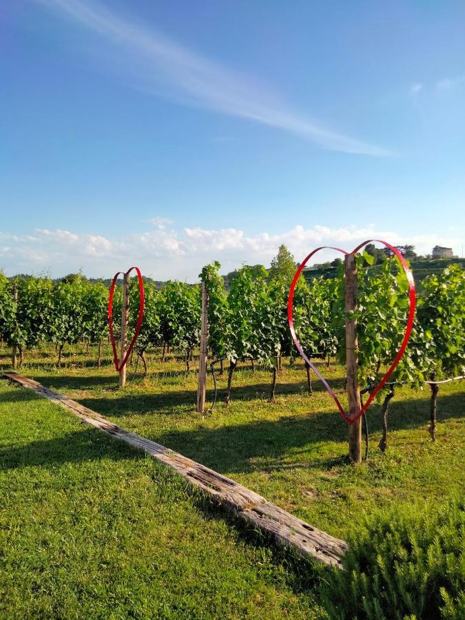 Agriturismo Le Ginestre Лацизе Экстерьер фото
